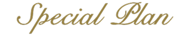 特別プラン