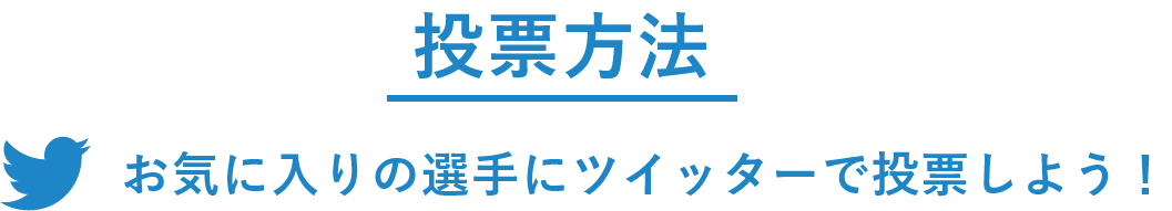 投票方法